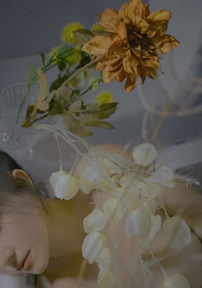 花儿与少年5免费完整版在线观看_DVD免费观看超清